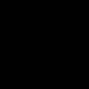 Meet your Posher, Yam